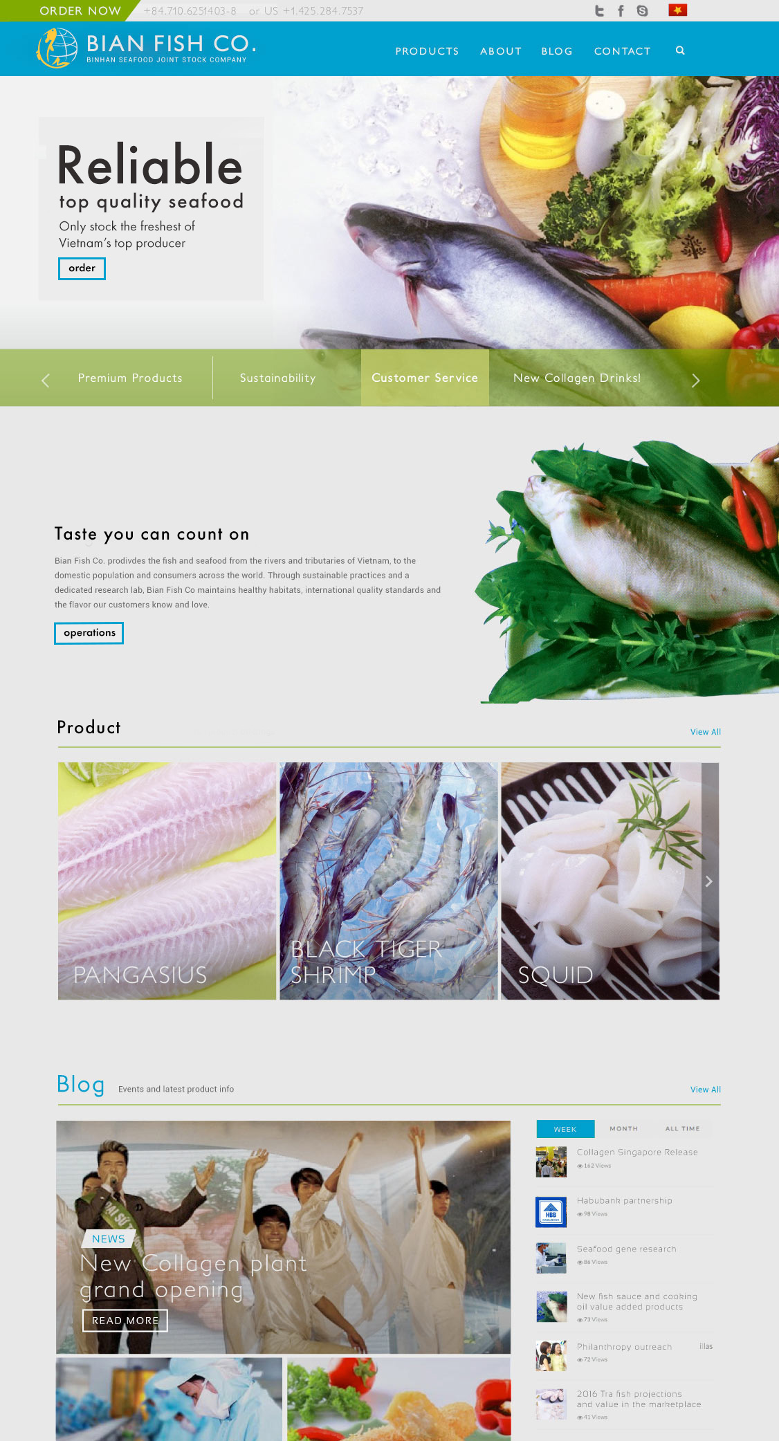 Bian homepage redesign
